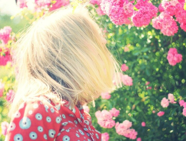 pexels-photo-large feat