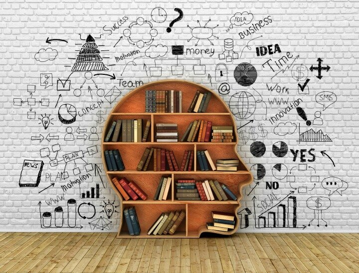 Wood Bookshelf in the Shape of Human Head and books near break wall, Knowledge Concept